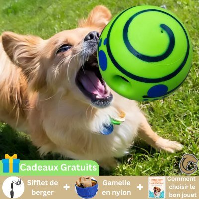 Funny Ball™ | Balle sonore innovante pour chien - Canin Sam