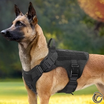 harnais-pour-chien-tactique-militaire-noir-berger-allemand