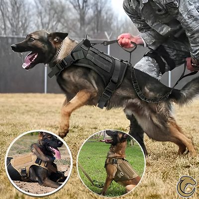harnais-pour-chien-tactique-militaire-noir-berger-allemand-assaut