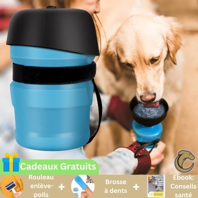 PupFold™ | Bouteille d'eau portable - Canin Sam